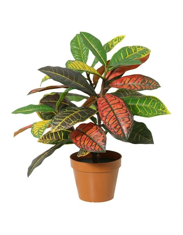 Willow & Silk 38cm Potted Artificial Vibrant Leaf Calathea image 1