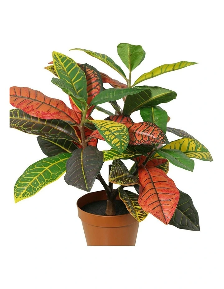 Willow & Silk 38cm Potted Artificial Vibrant Leaf Calathea image 2