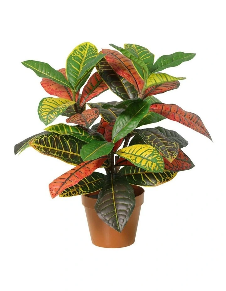 Willow & Silk 38cm Potted Artificial Vibrant Leaf Calathea image 3
