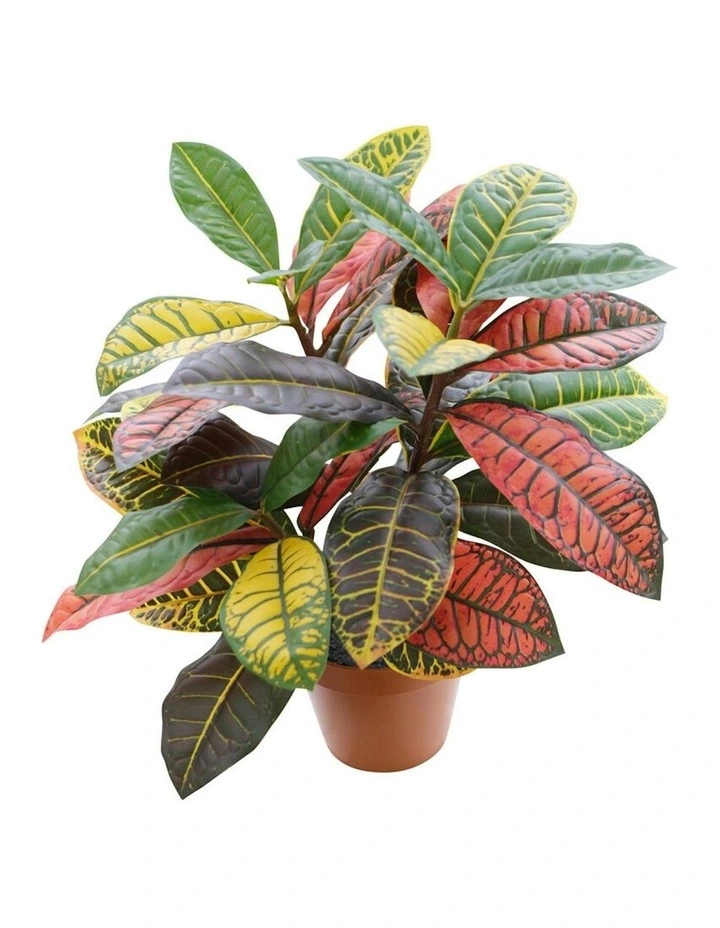 Willow & Silk 38cm Potted Artificial Vibrant Leaf Calathea image 4