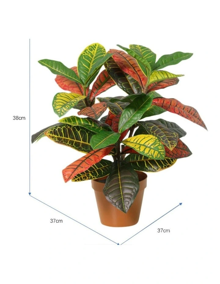 Willow & Silk 38cm Potted Artificial Vibrant Leaf Calathea image 5