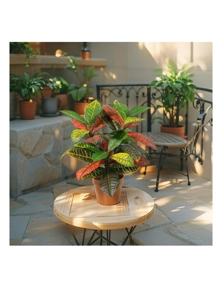 Willow & Silk 38cm Potted Artificial Vibrant Leaf Calathea image 6