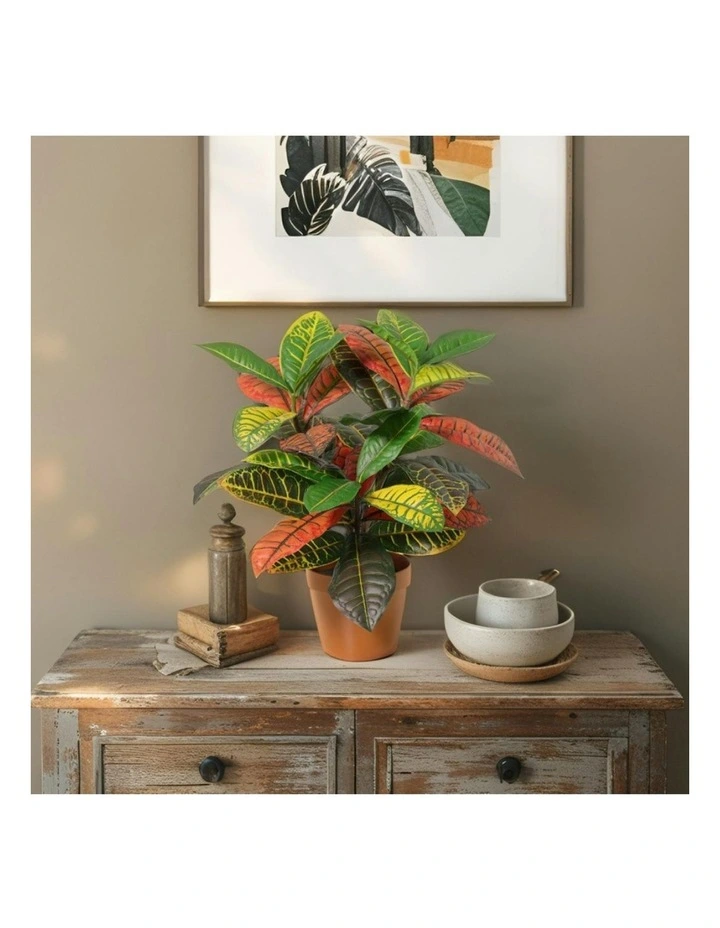 Willow & Silk 38cm Potted Artificial Vibrant Leaf Calathea image 7