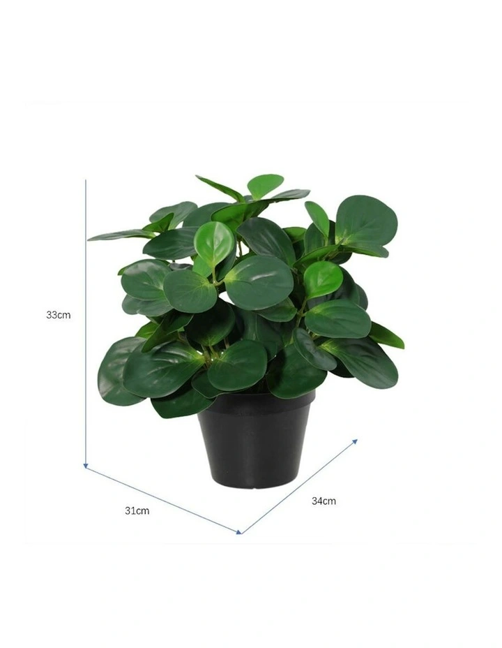 Willow & Silk 33cm Potted Artificial Serenity Peperomia image 5
