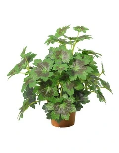 Willow & Silk 28cm Potted Artificial Grape Leaf Plant