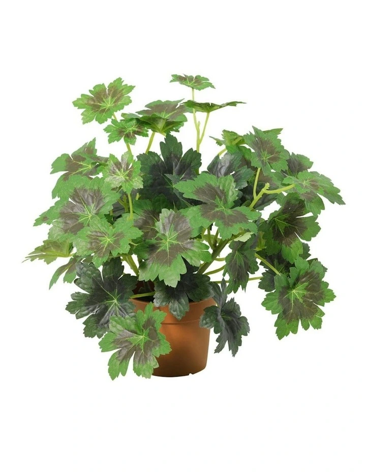 Willow & Silk 28cm Potted Artificial Grape Leaf Plant image 2