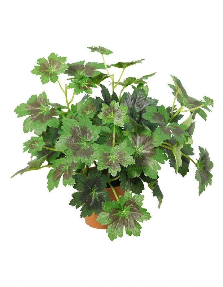 Willow & Silk 28cm Potted Artificial Grape Leaf Plant image 3