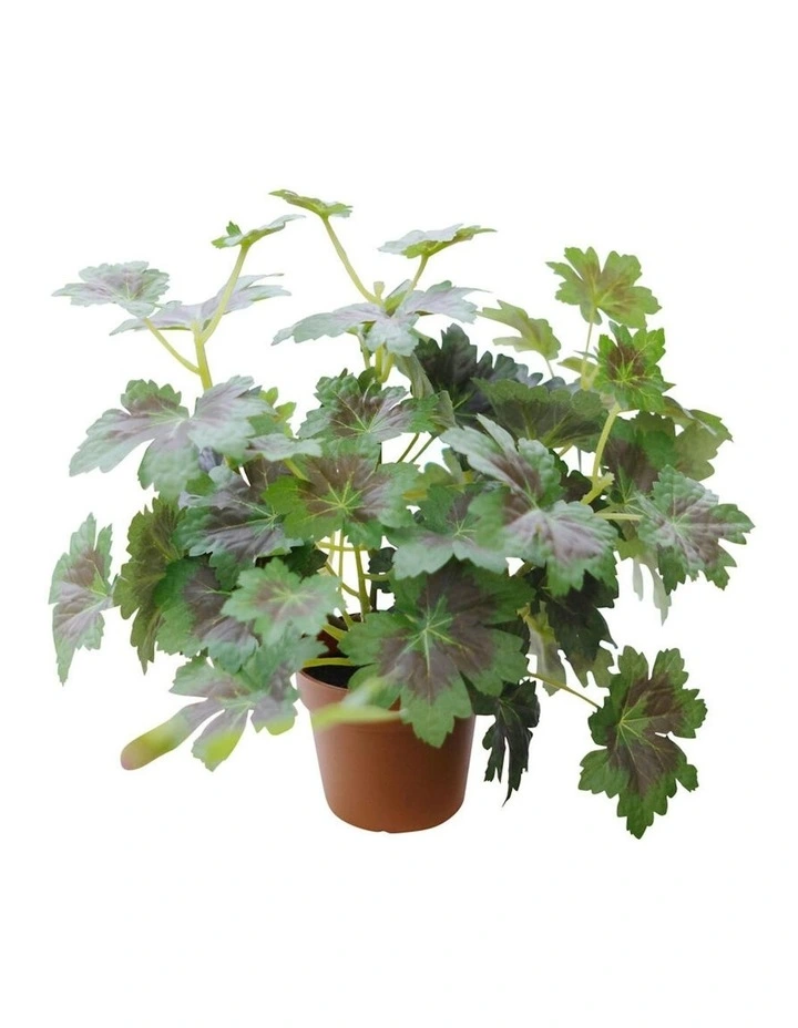 Willow & Silk 28cm Potted Artificial Grape Leaf Plant image 4
