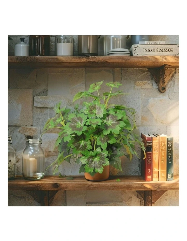 Willow & Silk 28cm Potted Artificial Grape Leaf Plant image 7
