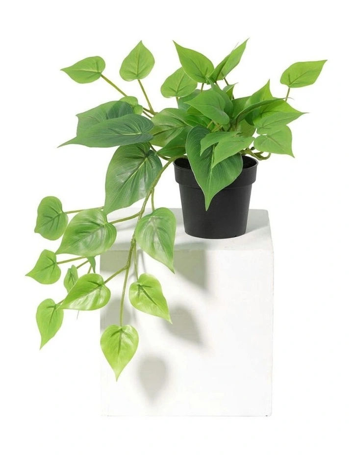 Willow & Silk 35cm Potted Artificial Tranquil Hanging Pothos image 2