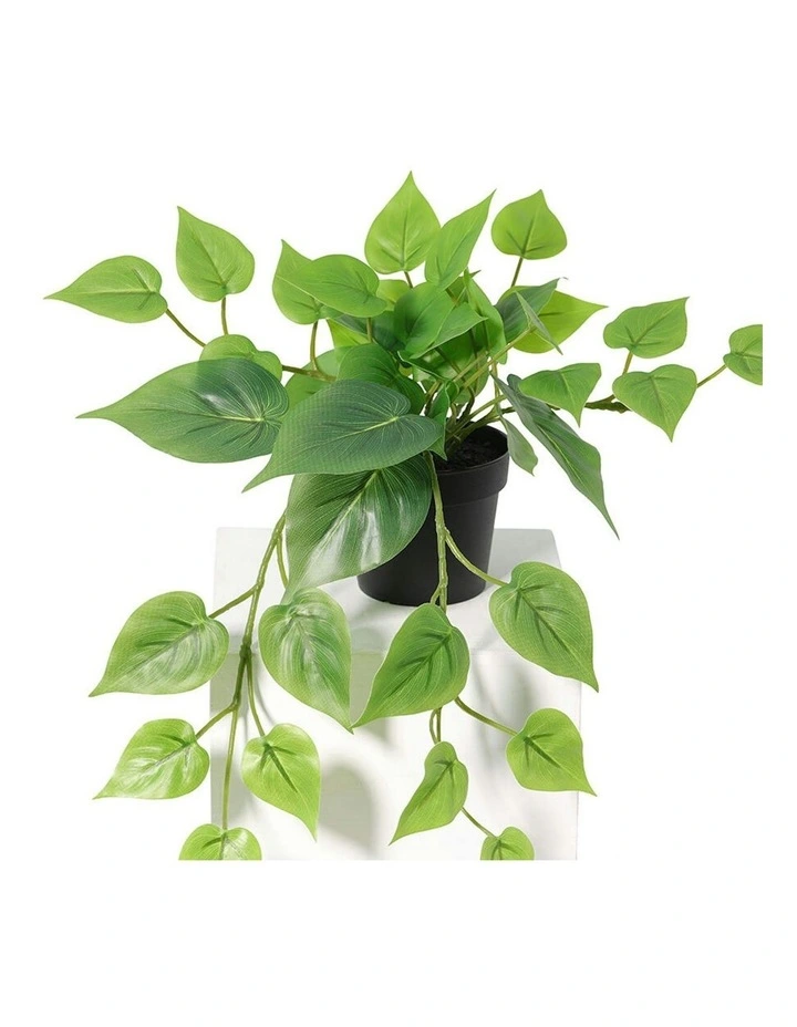 Willow & Silk 35cm Potted Artificial Tranquil Hanging Pothos image 3