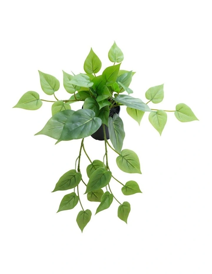 Willow & Silk 35cm Potted Artificial Tranquil Hanging Pothos image 4