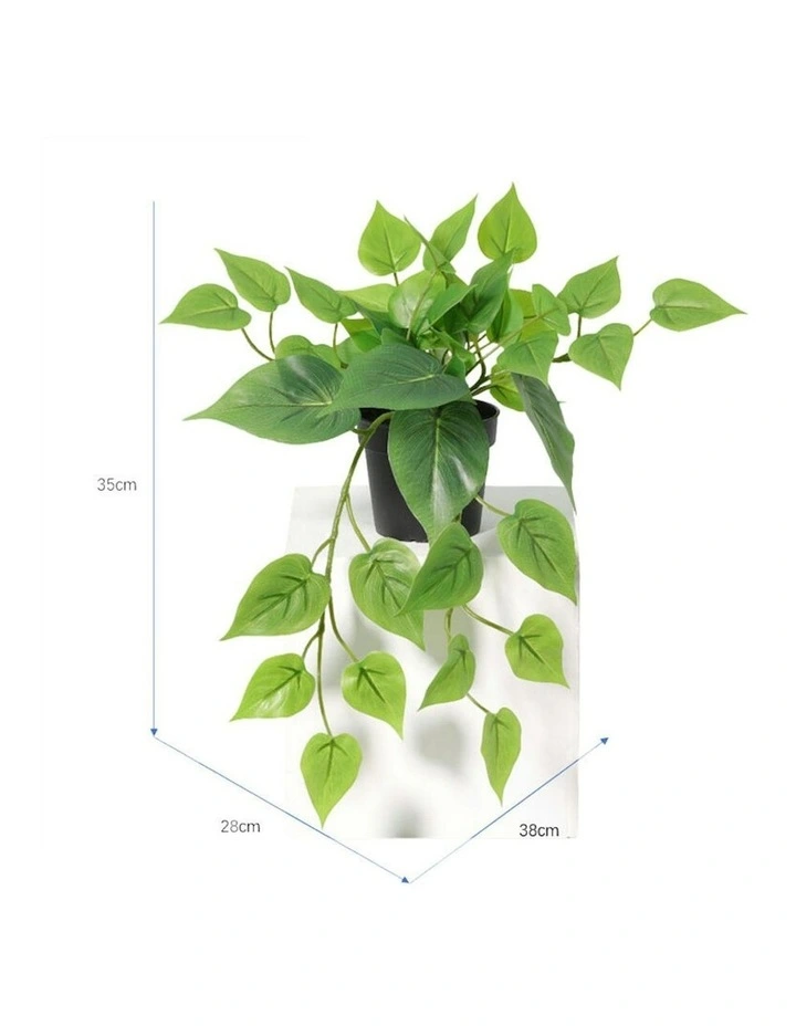 Willow & Silk 35cm Potted Artificial Tranquil Hanging Pothos image 5