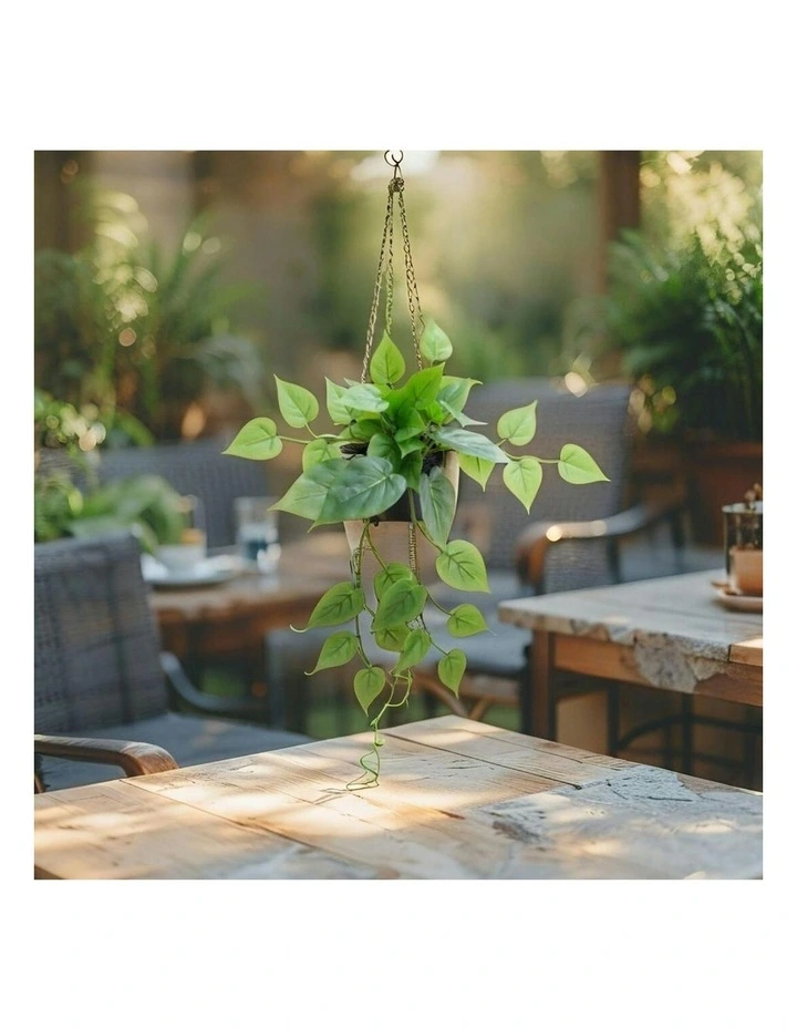 Willow & Silk 35cm Potted Artificial Tranquil Hanging Pothos image 6