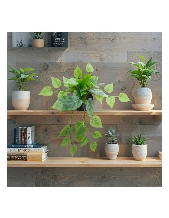 Willow & Silk 35cm Potted Artificial Tranquil Hanging Pothos image 7