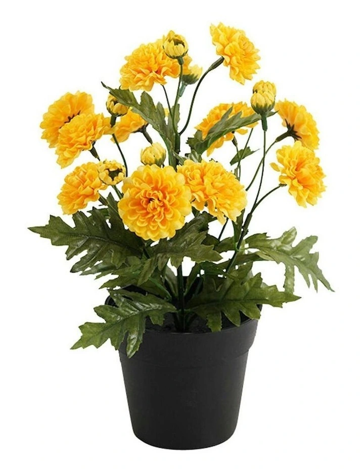 Willow & Silk Potted Artificial Yellow Mum 20z20x27cm image 1