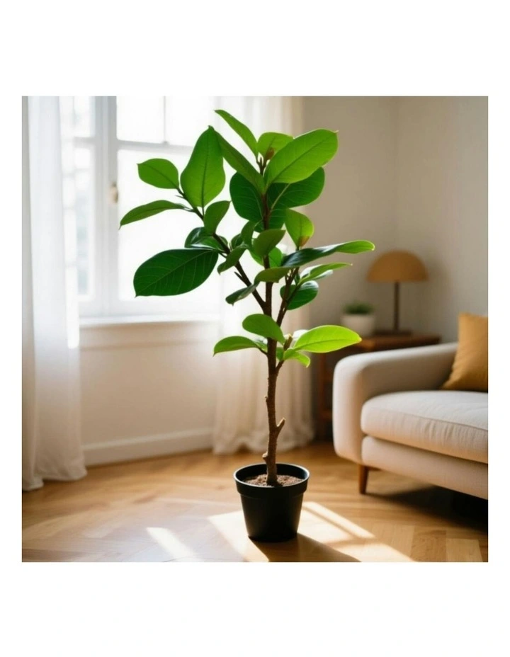 Willow & Silk 92cm Potted Artificial Lofty Fig Ficus Tree image 7