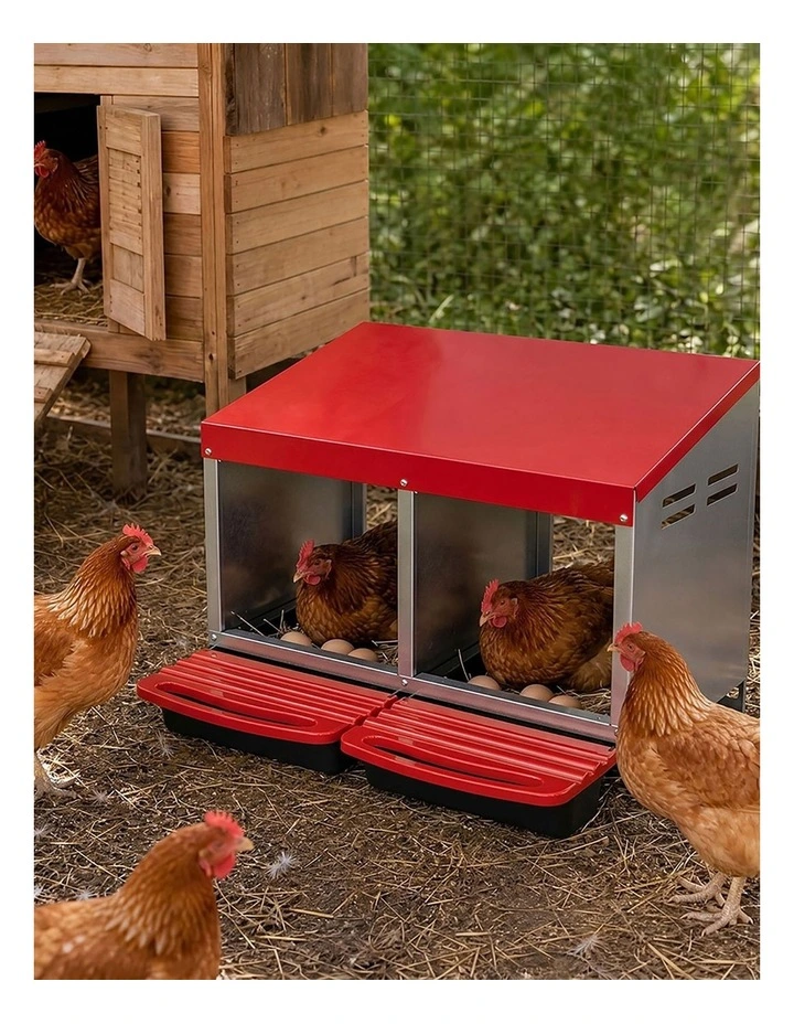 Pawz Chicken Nesting Boxes 2 Hole for Rolling Egg Collectio Inside Outside image 7