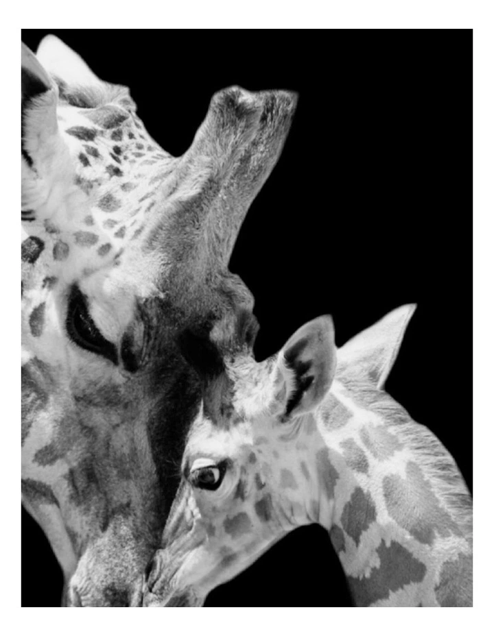 Yezi Animal Wall Art Canvas Modern Abstract 80120cm Framed Artwork Home Decor image 6