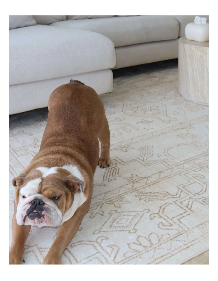 MISS AMARA  ANAIS CREAM MEDALLION WASHABLE RUG image 7