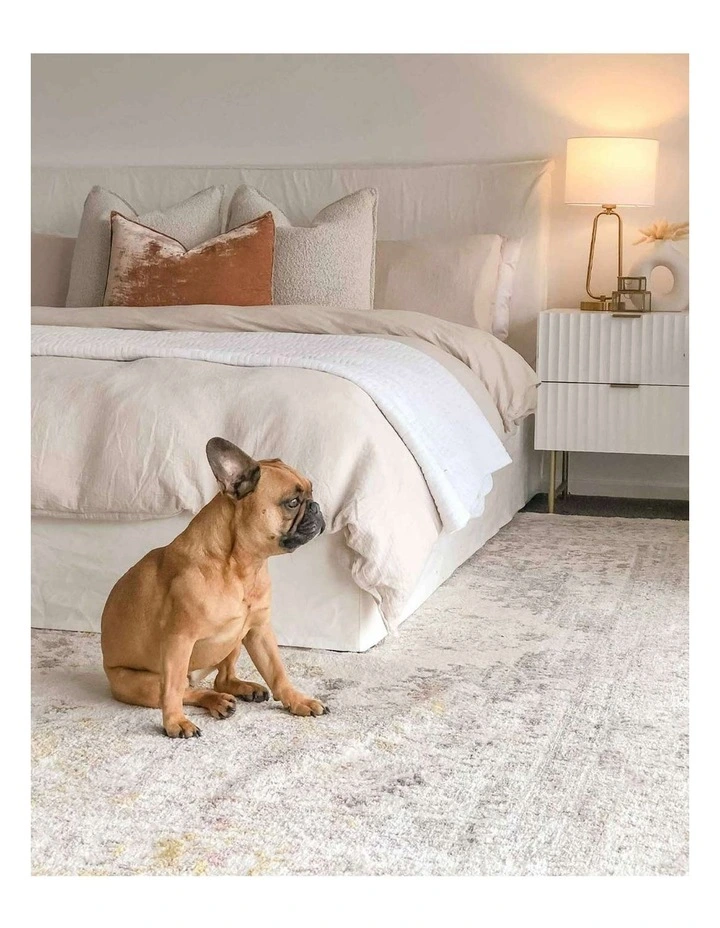 MISS AMARA AYSHA PINK YELLOW AND GREY TRADITIONAL MEDALLION RUG image 6