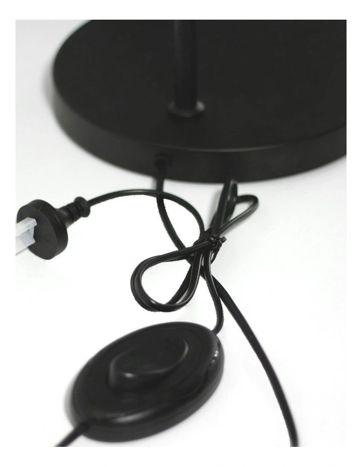 Rabea Floor Lamp image 6
