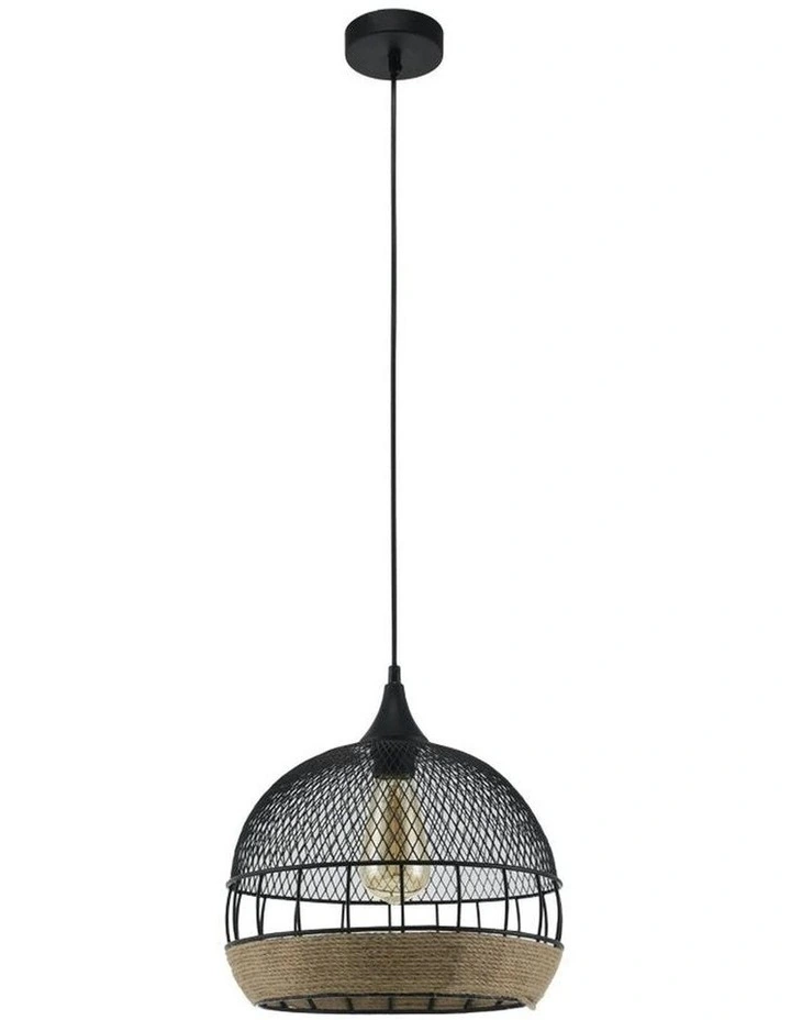 Kasanita Pendant Light image 1
