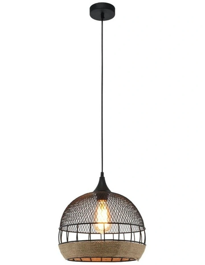 Kasanita Pendant Light image 2