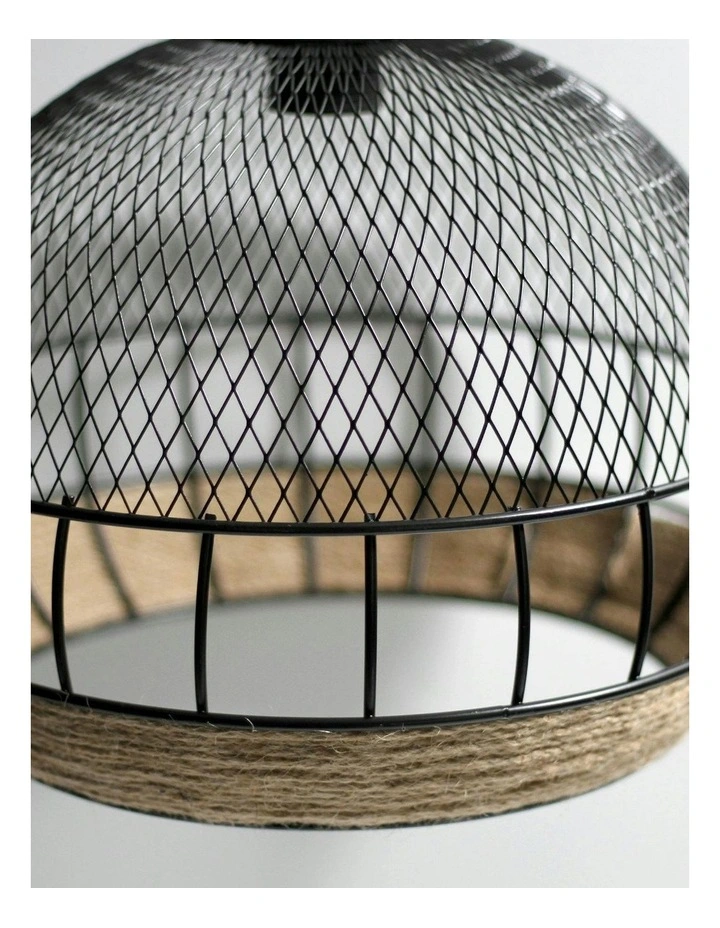 Kasanita Pendant Light image 5