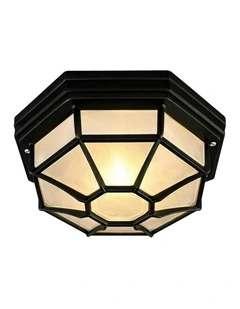 Alaya Outdoor Mounted Ceiling Light Black
