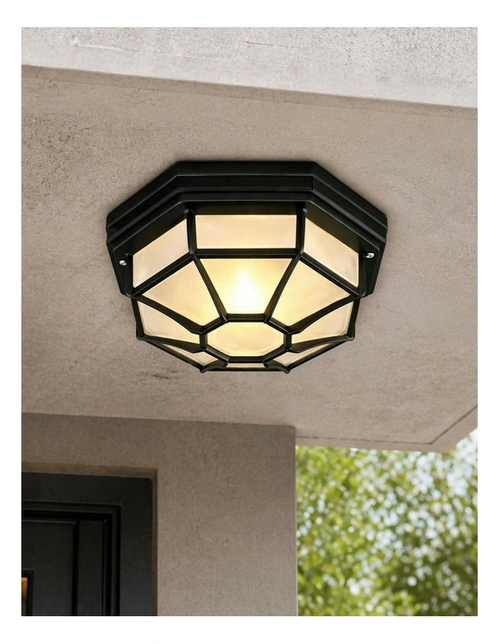 Alaya Outdoor Mounted Ceiling Light Black image 5