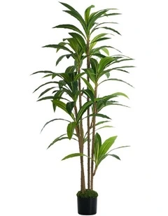 Livsip 150cm Artificial Dracaena Tree Potted Faux Plant Home Decor