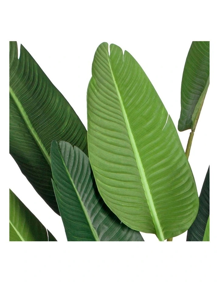 SOGA Birds Of Paradise Artificial Tree With Pot 220cm image 5