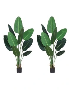 SOGA 2 Pack Nordic Traveller Banana Artificial Plant 180cm