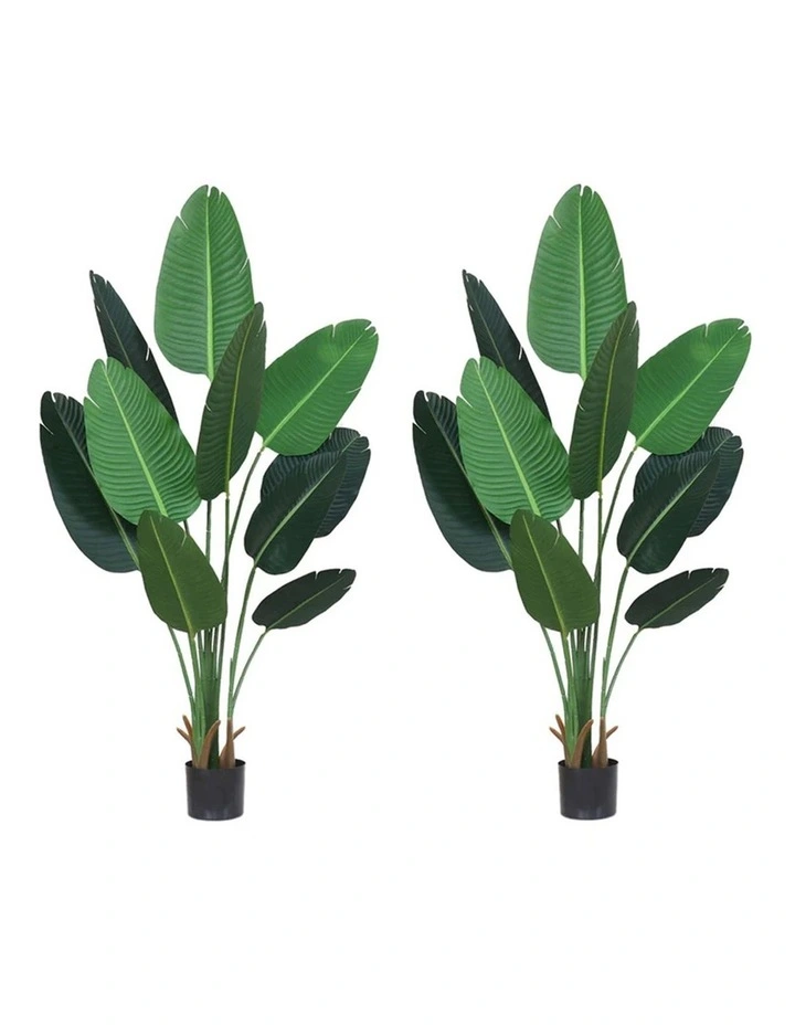 SOGA 2 Pack Nordic Traveller Banana Artificial Plant 180cm image 1