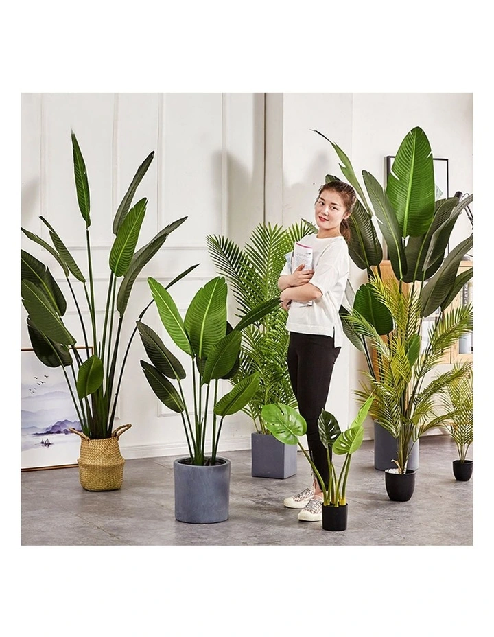 SOGA 2 Pack Nordic Traveller Banana Artificial Plant 180cm image 6