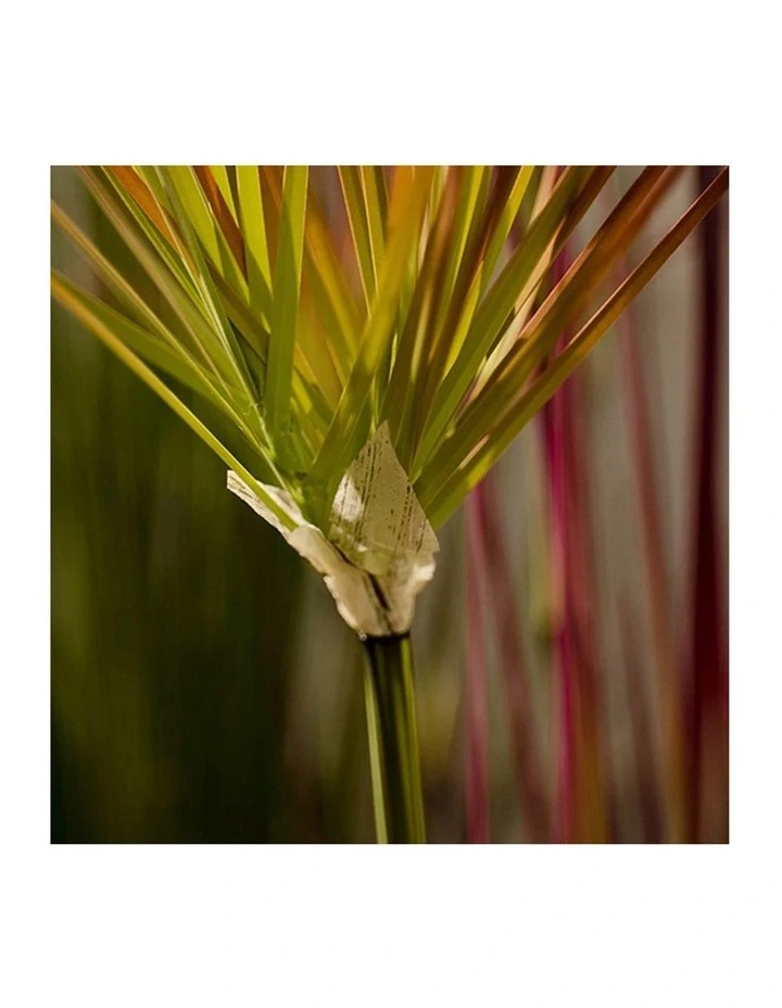 SOGA Purple Red Papyrus Artificial Plant 120cm image 5