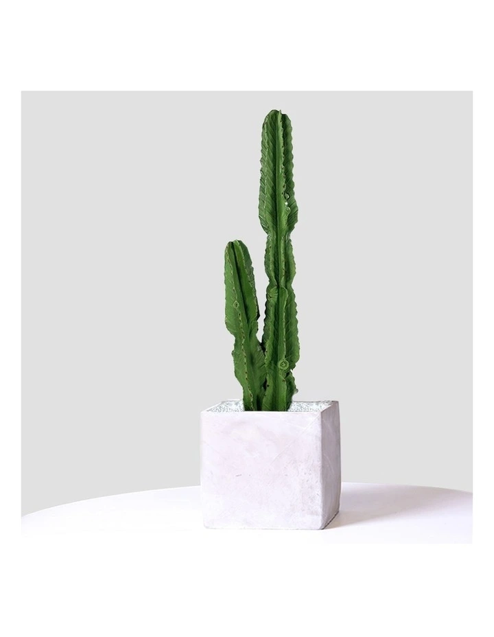 SOGA 2 Pack Cactus Artificial Plant 2 Heads 95cm image 3