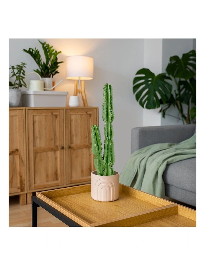 SOGA 2 Pack Cactus Artificial Plant 2 Heads 95cm image 5