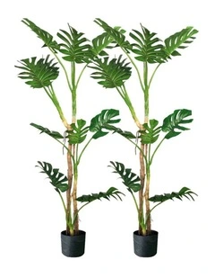SOGA 2 Pack Turtle Back Artificial Plant 175cm