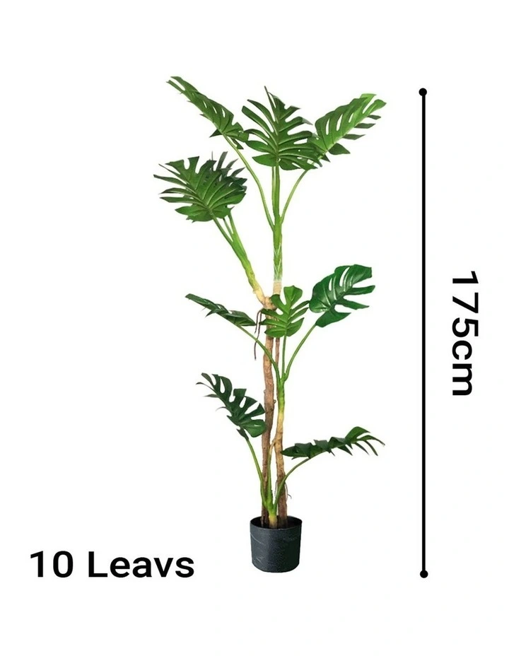 SOGA 2 Pack Turtle Back Artificial Plant 175cm image 2