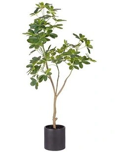 SOGA Schefflera Dwarf Umbrella Artificial Tree 120cm