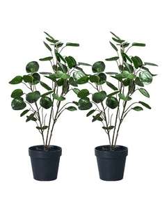 SOGA 2 Pack Polyscias Pocket Money Artificial Plant 95cm