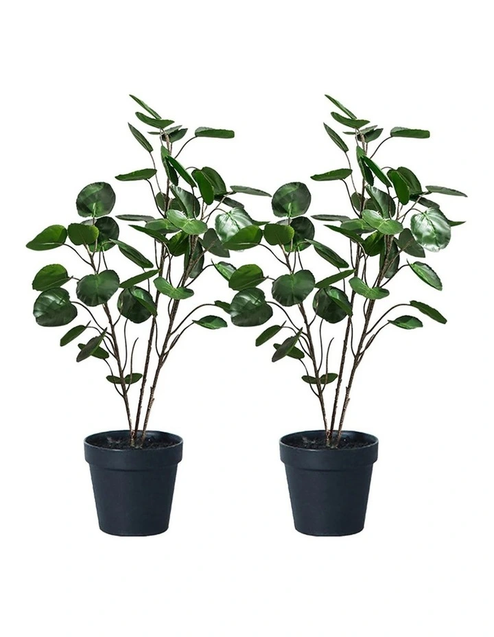 SOGA 2 Pack Polyscias Pocket Money Artificial Plant 95cm image 1