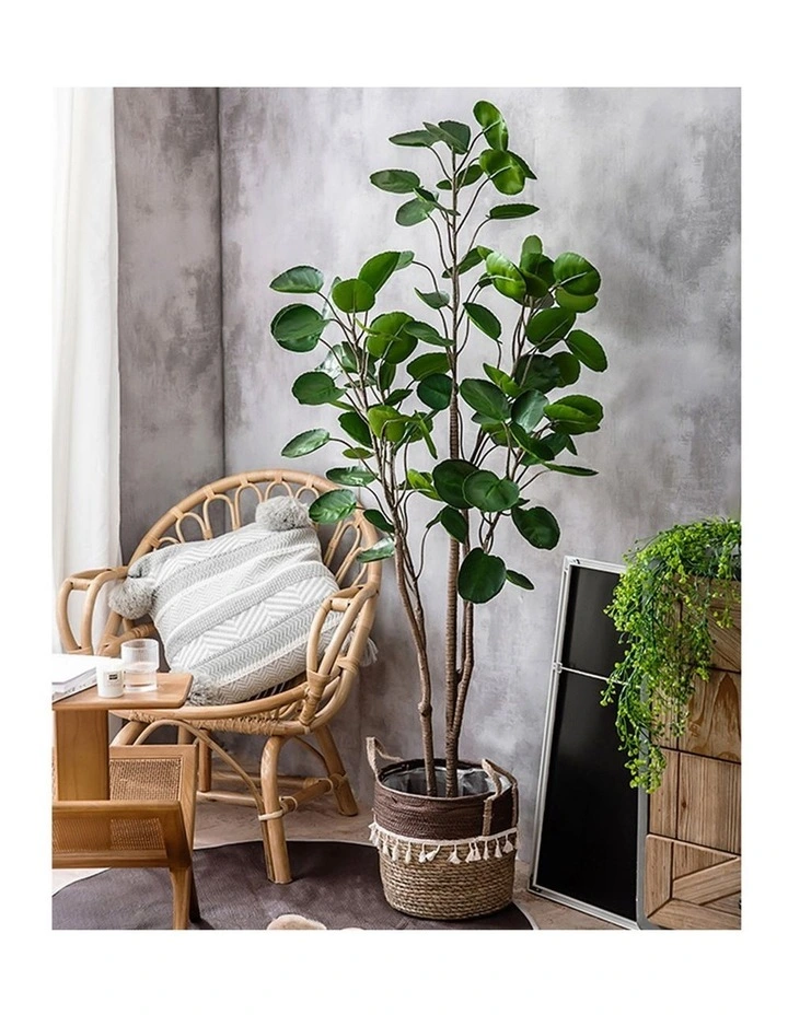 SOGA 2 Pack Polyscias Pocket Money Artificial Plant 95cm image 4