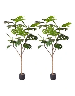 SOGA 2 Pack Split Leaf Philodendron Artificial Tree 180cm