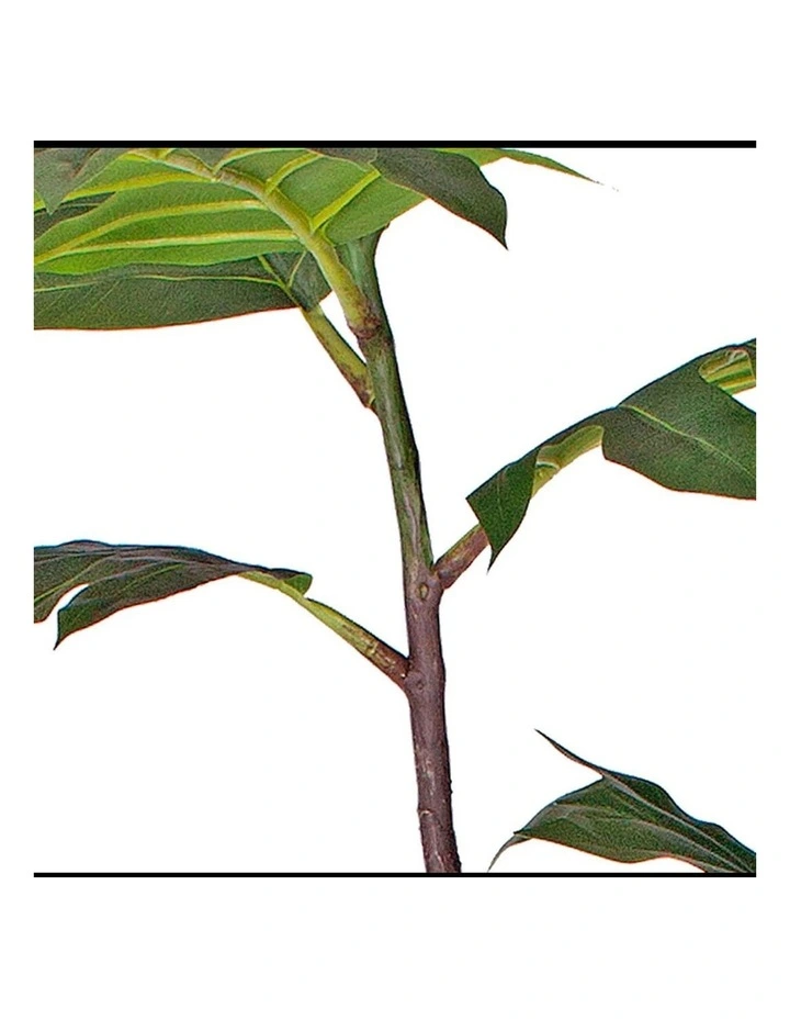 SOGA 2 Pack Split Leaf Philodendron Artificial Tree 180cm image 6