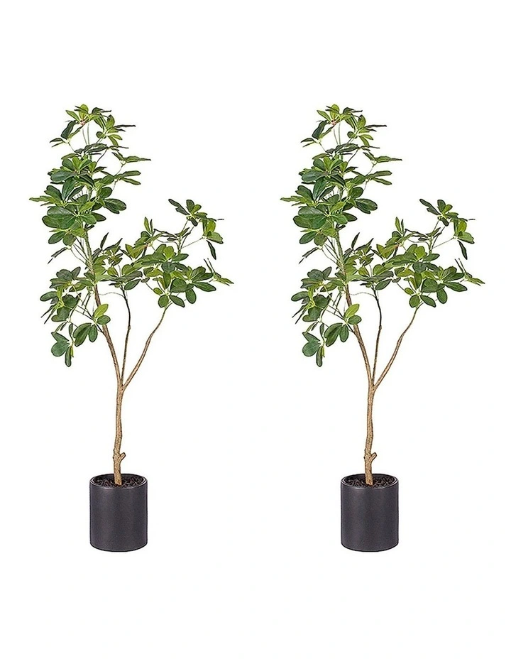 SOGA 2 Pack Schefflera Artificial Tree 160cm image 1