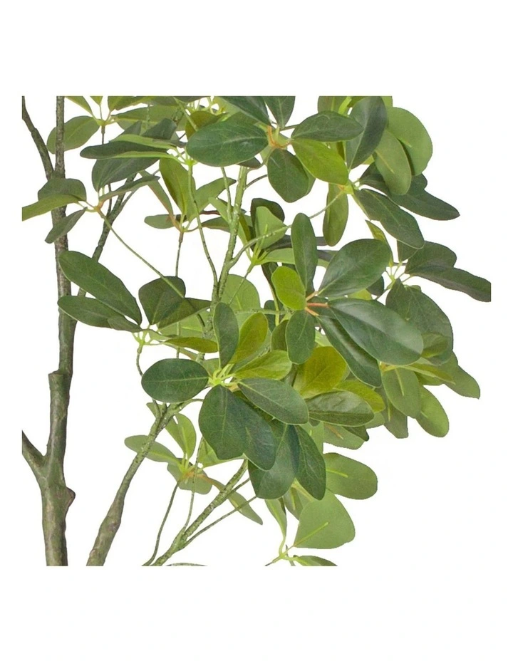 SOGA 2 Pack Schefflera Artificial Tree 160cm image 6