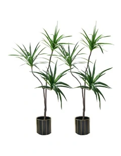 SOGA 2 Pack Dracaena Brazilian Iron Artificial Tree 180cm